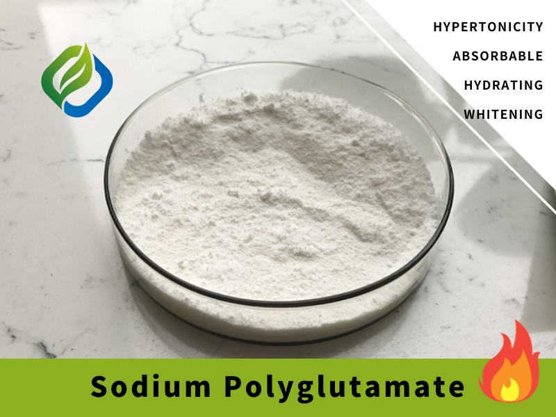Sodium Polyglutamate Featured Image