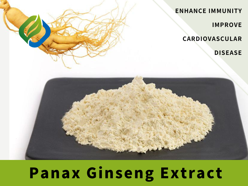 Panax Ginseng Extract Featured Image