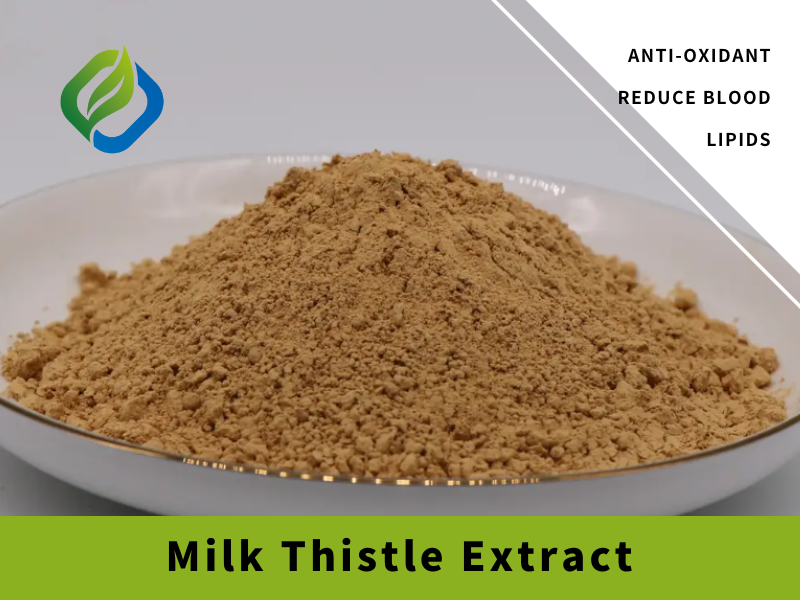 Milk Thistle Extract Featured Image