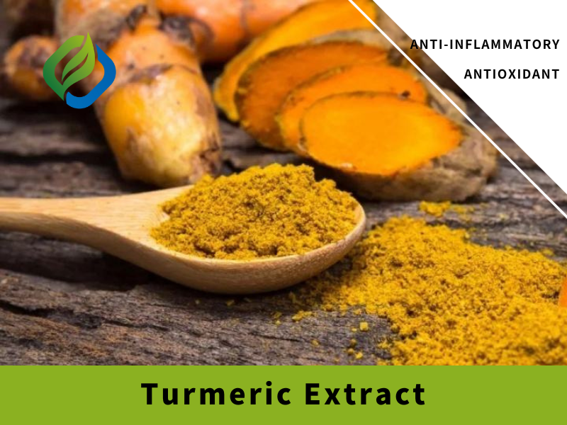 Turmeric Extract Featured Image