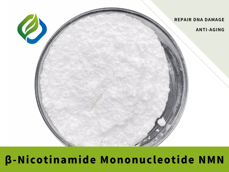 β-Nicotinamide Mononucleotide NMN Featured Image