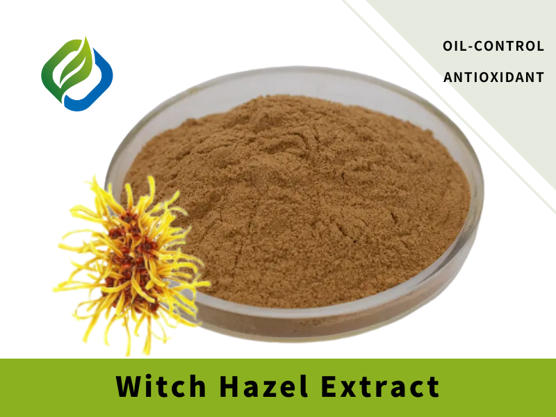 Witch Hazel Extract Featured Image