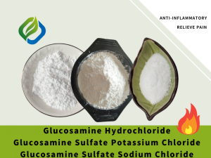 Glucosamine Sulfate Potassium Chloride