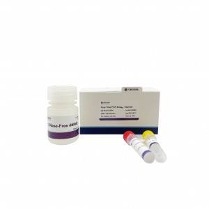 Professional Design China Viral Sample Collection Tubes (inactivated) Laboratory Consumables Vtm