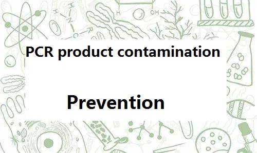 Four tools for the prevention of PCR product contamination