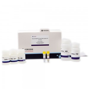 Buccal Swab/FTA Card DNA Isolation Kit Genomic DNA Extraction or Purifiaction Kit from Buccal Swabs
