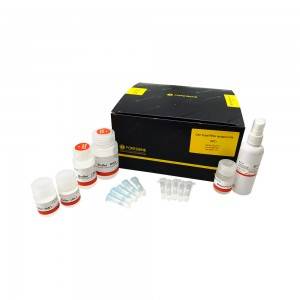 Cell Total RNA Isolation Kit Total RNA Isolation Purification Kits from cell