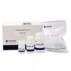 Gel Extraction Kit DNA Gel Extraction Kit