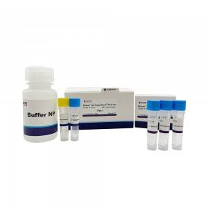 Manufacturer for Mouse Direct Pcr Kit For Genotyping - Mouse Tail SuperDirect PCR Kit – Foregene