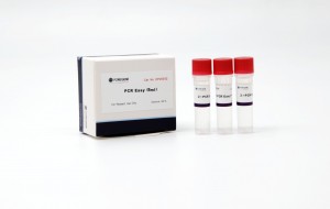 Discountable price China High Fidelity Real Time PCR Sybr Green Qpcr Mix with Low Rox+ Buffer
