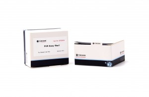 OEM/ODM Manufacturer China Professional Manufacture Cheap Real-Time PCR Detection Kit Rt-PCR Reagent for PCR Testing