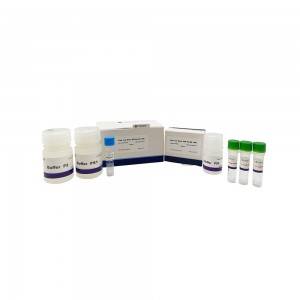 OEM manufacturer Mouse Direct Pcr Kit Biotool - Plant leaf Direct PCR kit-UNG  – Foregene