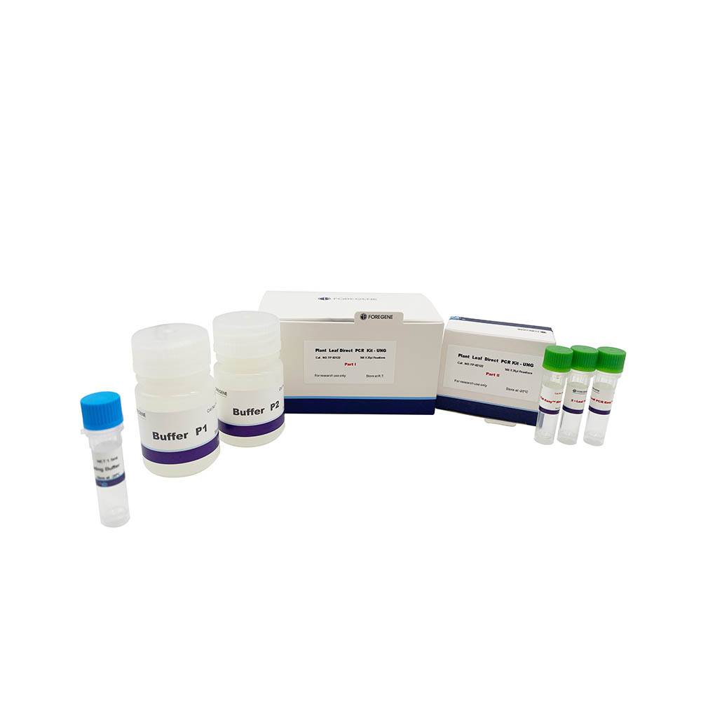 Frunze de plante Kit PCR direct (fără instrumente de prelevare de probe) Protocol PCR direct din material vegetal