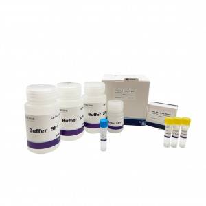 Cheap PriceList for China Wholesale Medical Rna Extraction Real Time PCR Test Kit