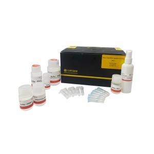 Plant Total RNA Isolation Kit Plus Total RNA Purificaiton Kit for Plant Rich in Polysaccharides and Polyphenols