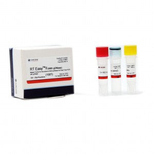 RT Easyᵀᴹ II Master Premix for first-strand cDNA synthesis for Real Time PCR