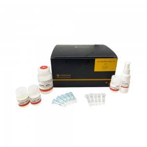 Short Lead Time for Factory Nucleic Acid Extraction Kits Rna/DNA Isolation Purification Kit for PCR Test