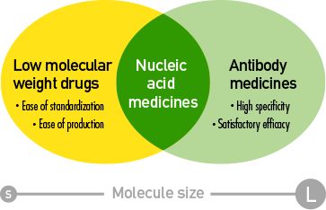 What is nucleic acid drugs?