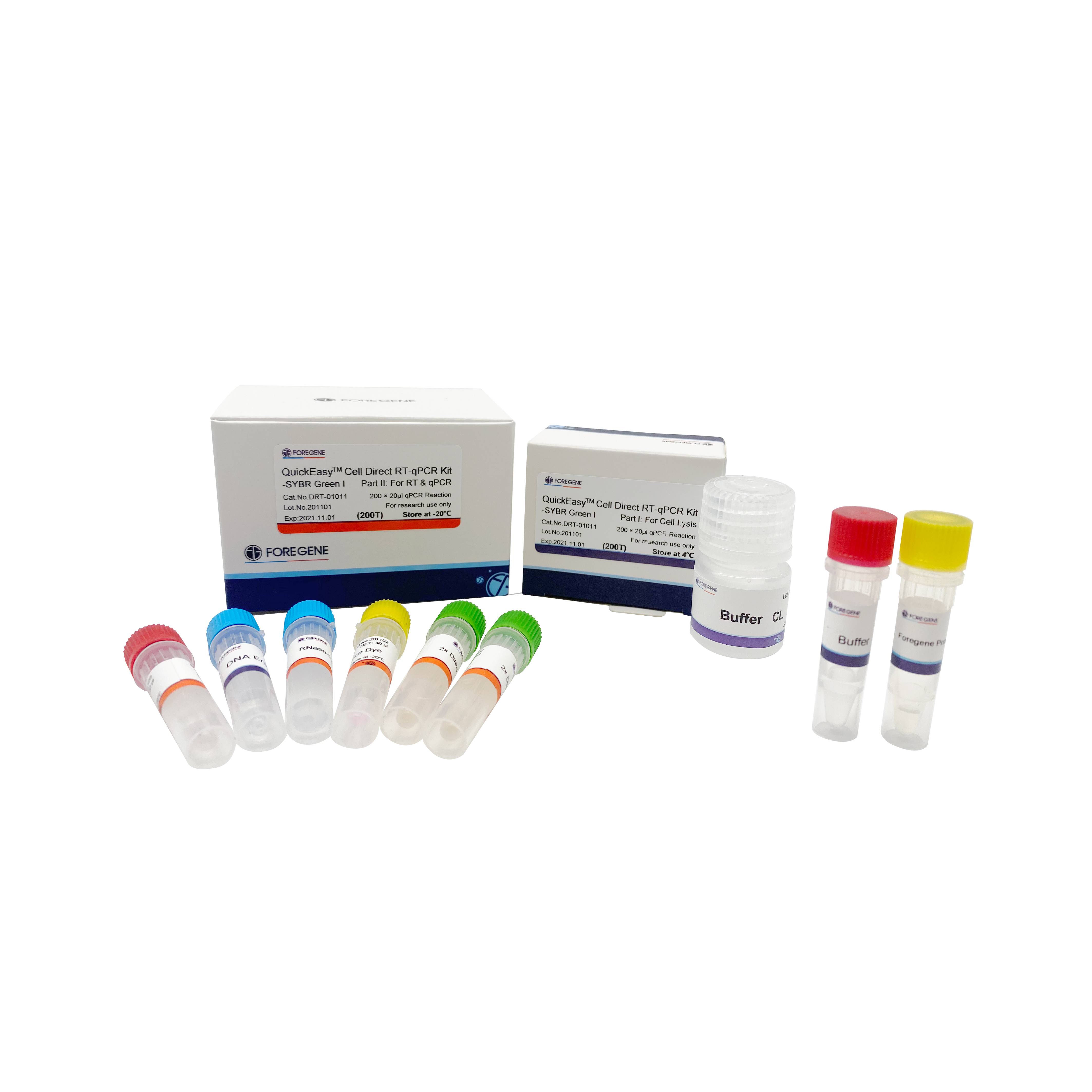 Cell Direct RT qPCR Kit—SYBR GREEN I Direct Cell Lysis Cell Ready One-step qRT-PCR Kit Gambar Unggulan