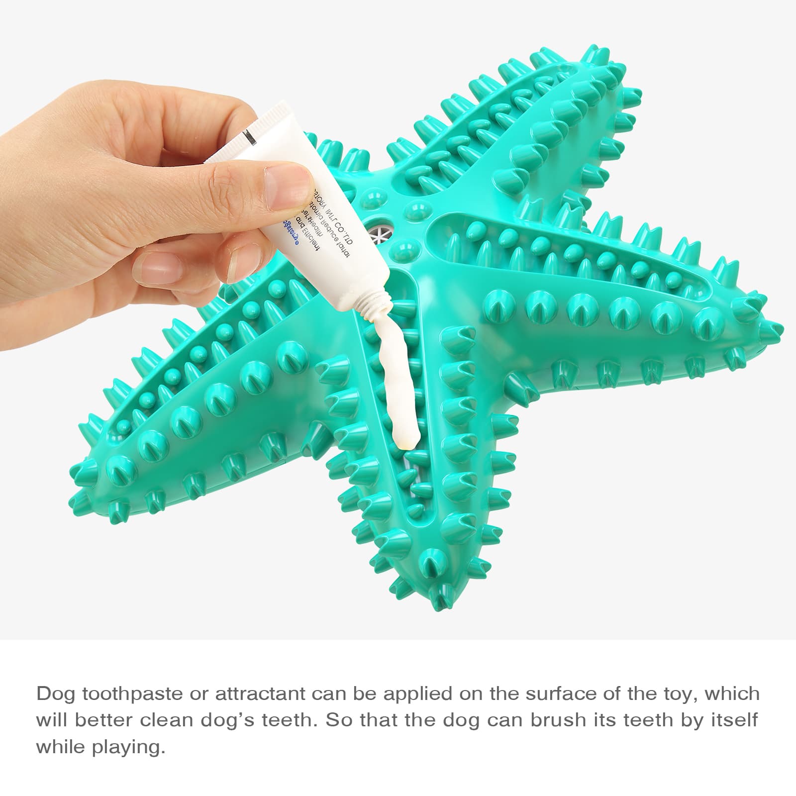Starfish style Dog Chew Toy Squeaky (5)
