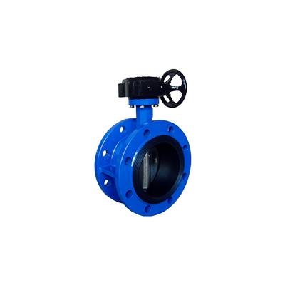 FD01-BV1DF-3G(Double flanged Butterfly Valve–Gear box Operation) Featured Image