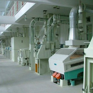 Short Lead Time for Coffee Bean Sorter - 100 t/day Fully Automatic Rice Mill Plant – Fotma