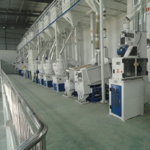 120T/D Modern Rice Processing Line