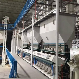 200 ton/day Complete Rice Milling Machine