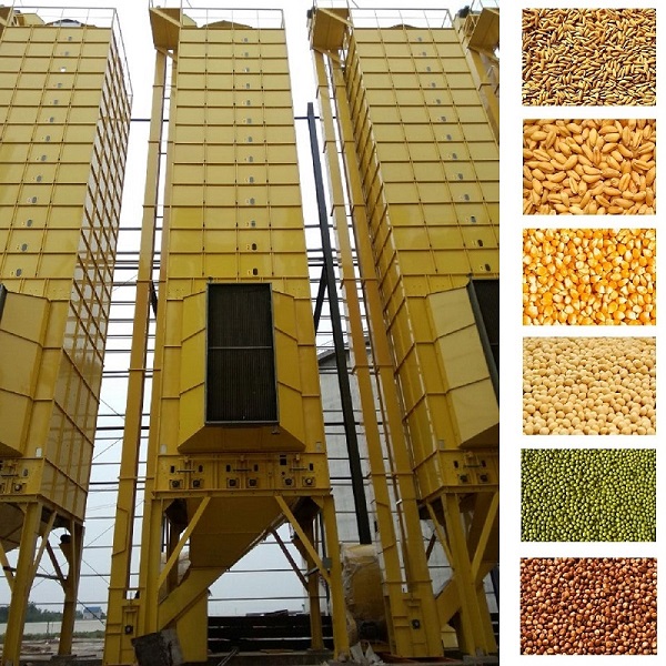 One of Hottest for Rice Bran Oil Production - 5HGM-50 Rice Paddy Corn Maize Grain Dryer Machine – Fotma