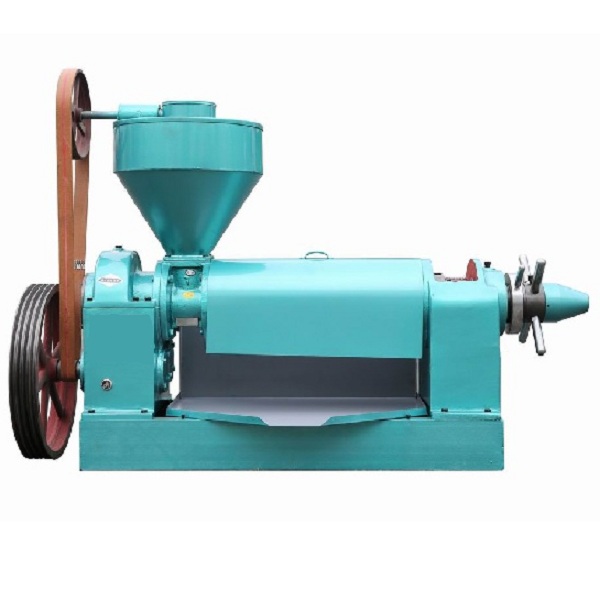6YL Series Small Screw Oil Press Machine (1)