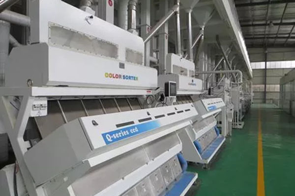 Rice Polishing and Grinding in Rice Processing Line