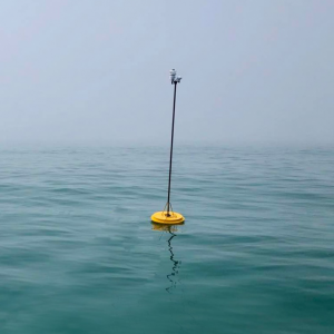High Accuracy GPS Real-time communication ARM processor Wind buoy
