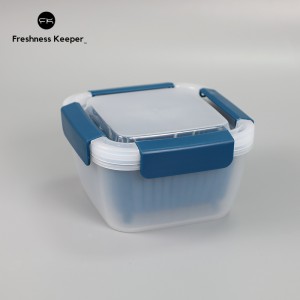 Leak Proof Square Berry Keeper Container with Strainer Blue