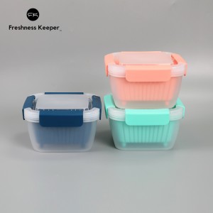 Leak Proof Square Berry Keeper Container med Si Blå farve