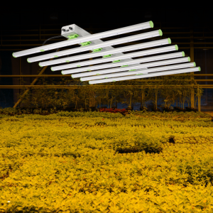 Cost-effective Commercial Eco Farm Samsung 8 Bars Horticulture 1000 Watt 720w Led Flowering Grow System Bar Light Lamp