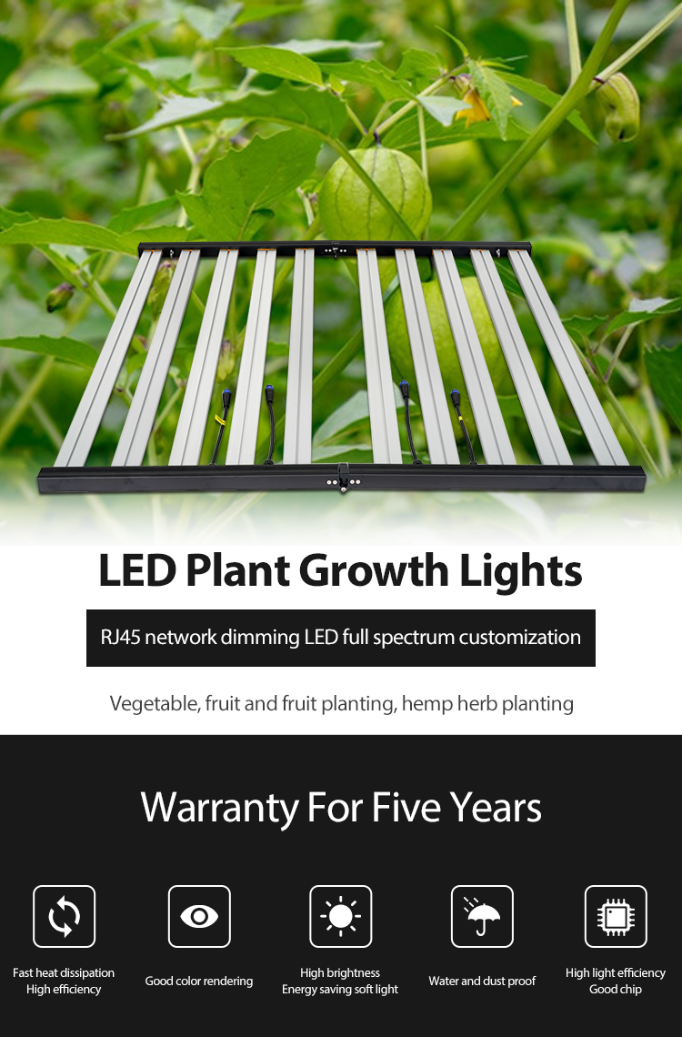 2022 High quality Plant Growth Light – Reliable Supplier Brilliant-Dragon High Power Indoor Hydroponics Bar Strip Plant Growth Lamp Full Spectrum LED Grow Lights – Five Star