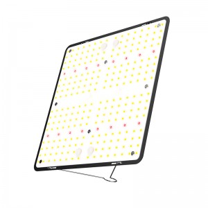 100W LED Grow Light ເຕັມ spectrum ຕົ້ນຕໍແມ່ນຄວາມຍາວຄື່ນທີ່ມີໄຟສີແດງສໍາລັບ glow tent ໃຊ້ໃນເຮືອນ