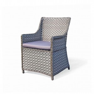 Spring rattan dining chair