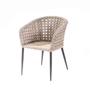 Wing rattan dining chair