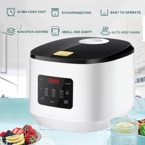 Ordinary Discount Square Rice Cooker - 2022 new product 5L household low sugar rice cooker with cheap price – Tiantai