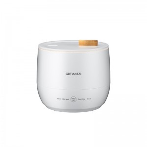 China Gold Supplier for Desugar Rice Cooker - OEM mini electric rice cooker for household and Tourism – Tiantai