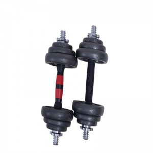 OEM/ODM Factory China Bodybuilding Hex Dumbbell -  Cast Iron Paint cover box Strength Training Equipment Paint Set of Adjustable dumbbell – Fushuangyue