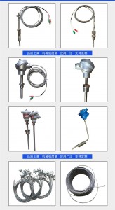 2019 China New Design PT100 Temperature Sensor Rtd Sensor Armored Assembly Thermocouple with Ceramic Protection Tube