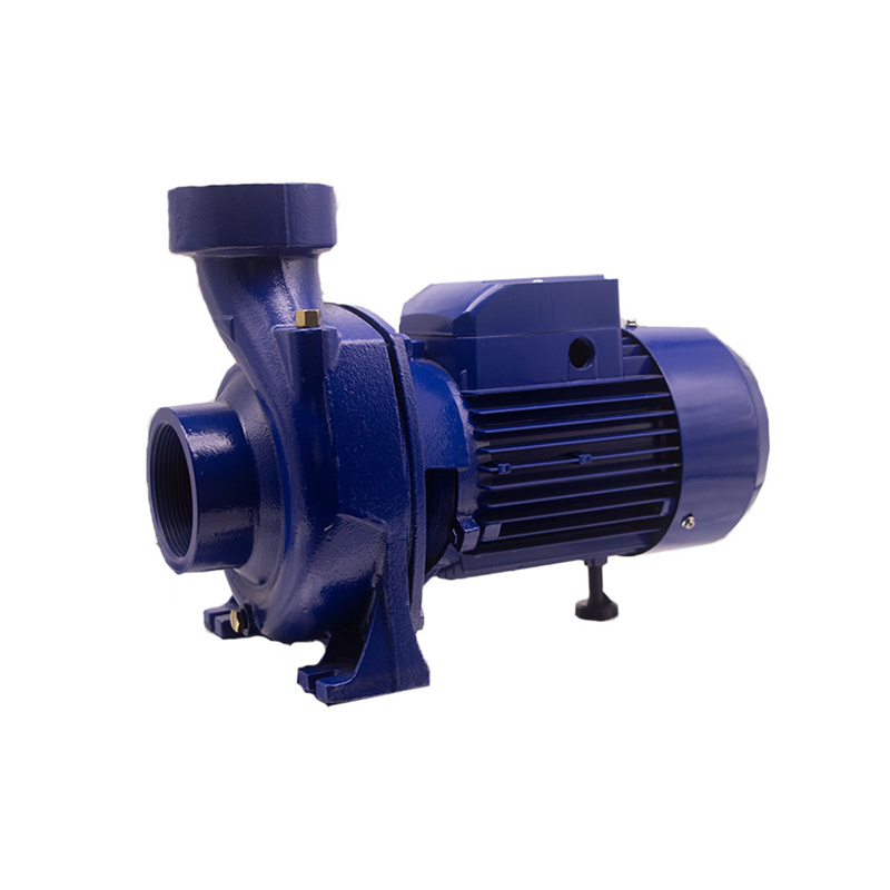 Pompă de apă centrifugă din seria 0,75HP-2HP DTM