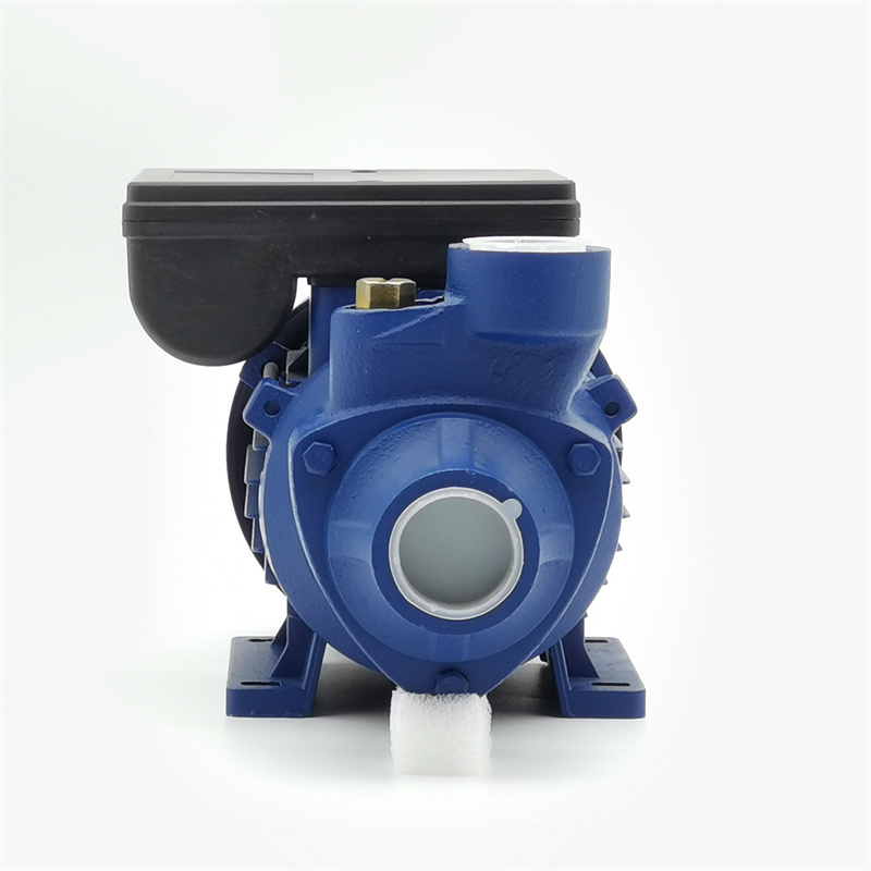 1.1HP / 0.75KW IDB50 Peripheral Water Pump