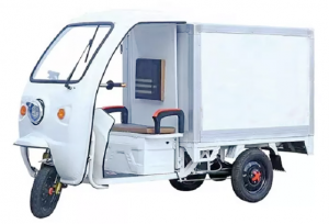 China factory high quality 800W custom logo electric cargo tricycle for Courier delivery