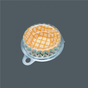 Plastic small containers with sealing lids
