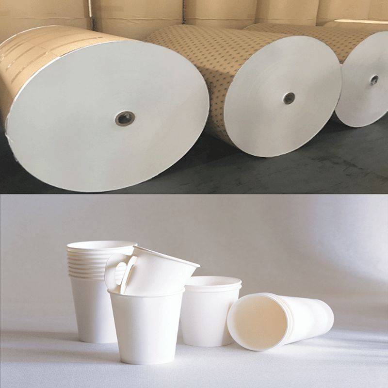 Water-based Coated Paper for Paper Cup/Bowl/Box/Bag
