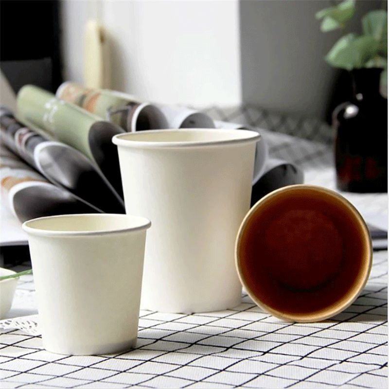 Water-based Coated Paper Cup/Bowl/Box/Bag