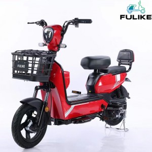 Electric Bicycle South China 2 Wheel Cargo Ebicycle with OEM Service